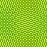 Revival MU-061-G Palm Green