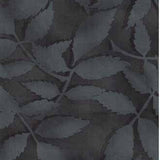 Shadowland Collection SHAD-05 GRANITE Granite