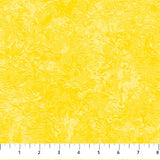 Impasto 10497-50 Buttercup