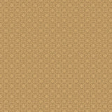 Modern Melody Camel