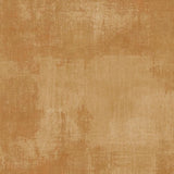 Dry Brush 1077-89205-252 Cider