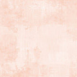 Dry Brush Pale Apricot