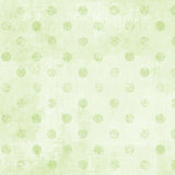 Dry Brush Dots 1077-89290-700 Pale Lime