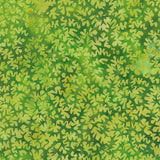 Batik Lime F