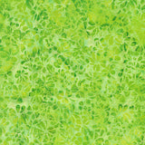 Batik Lime G