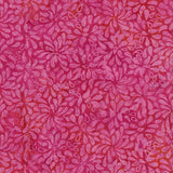 Petal Pathway Raspberry