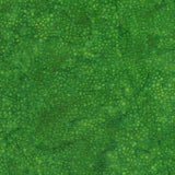 Petal Pathway Leprechaun
