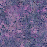 Petal Pathway Mixed Berry