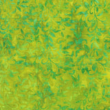 Bee Kind Green Lemongrass A
