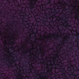 Sunset Plains Purple Regal