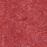 Midnight Glow Red Paprika
