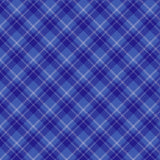 Playful Plaids Plum