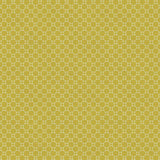 Lace Avocado