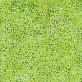 Batiks Kiwi