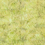 Citrus Sun Batiks Juniper