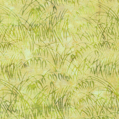 Citrus Sun Batiks Juniper