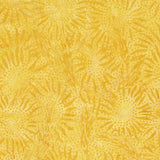 Harvest Blue Sunflower