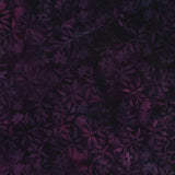 Prairie Dreams Purple Boysenberry