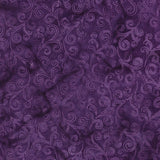 Royal Crown Purple Hyacinth