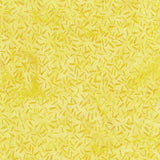 Celebrate Yellow Banana