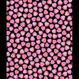 Whole Lotta Love 14731-12 Sweet Hearts Black