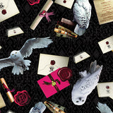 Harry Potter 15216-12 Owl Postal Service Black