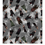 Harry Potter 15217-11 Characters Gray