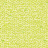 Robo Boogie 16204-04 Light Lime