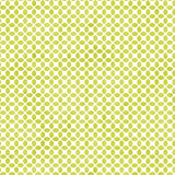 Beautiful Harvest 16214-40 Chalk Geo Lime