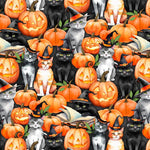 Spooky Tails by Nancy Mink features curious cats perched among pu
