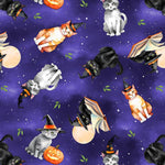 Spooky Tails by Nancy Mink features curious cats perched among pu