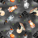 Spooky Tails by Nancy Mink features curious cats perched among pu
