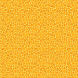 Transparency Watercolors 17114-31 Pebbles Sunshine