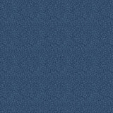 Denim Jacket Blue B