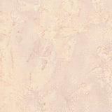 Bali Batik Watercolors Sand Dollar