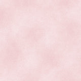 Shadow Blush Baby Rose