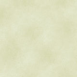 The Shadow Blush collection is a bunch of lovely solids with a hi