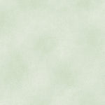 The Shadow Blush collection is a bunch of lovely solids with a hi