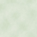 The Shadow Blush collection is a bunch of lovely solids with a hi