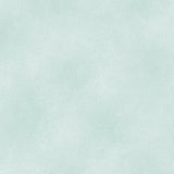 The Shadow Blush collection is a bunch of lovely solids with a hi