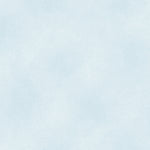 The Shadow Blush collection is a bunch of lovely solids with a hi