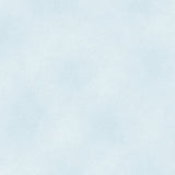 The Shadow Blush collection is a bunch of lovely solids with a hi