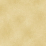 The Shadow Blush collection is a bunch of lovely solids with a hi