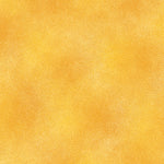 The Shadow Blush collection is a bunch of lovely solids with a hi