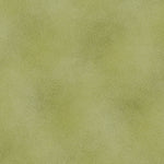The Shadow Blush collection is a bunch of lovely solids with a hi