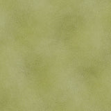 The Shadow Blush collection is a bunch of lovely solids with a hi