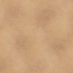 The Shadow Blush collection is a bunch of lovely solids with a hi