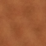 The Shadow Blush collection is a bunch of lovely solids with a hi