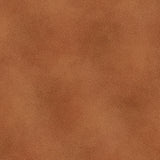 The Shadow Blush collection is a bunch of lovely solids with a hi