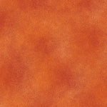 The Shadow Blush collection is a bunch of lovely solids with a hi